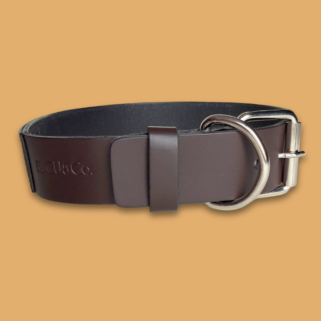 Paw Print Leather Collar