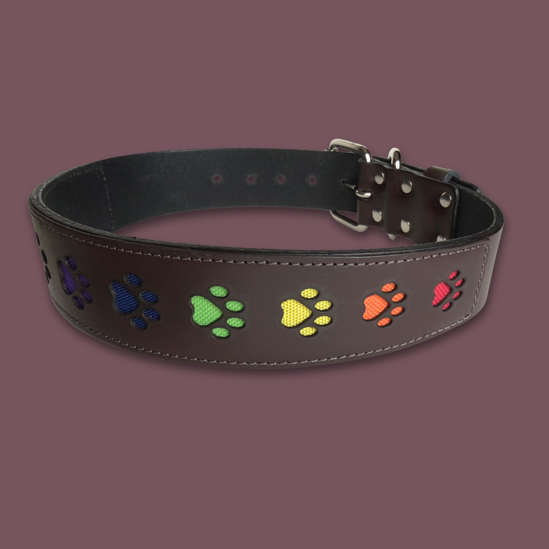 Paw Print Leather Collar
