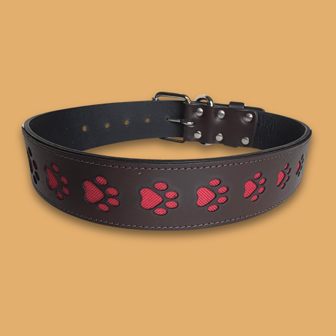 Paw Print Leather Collar