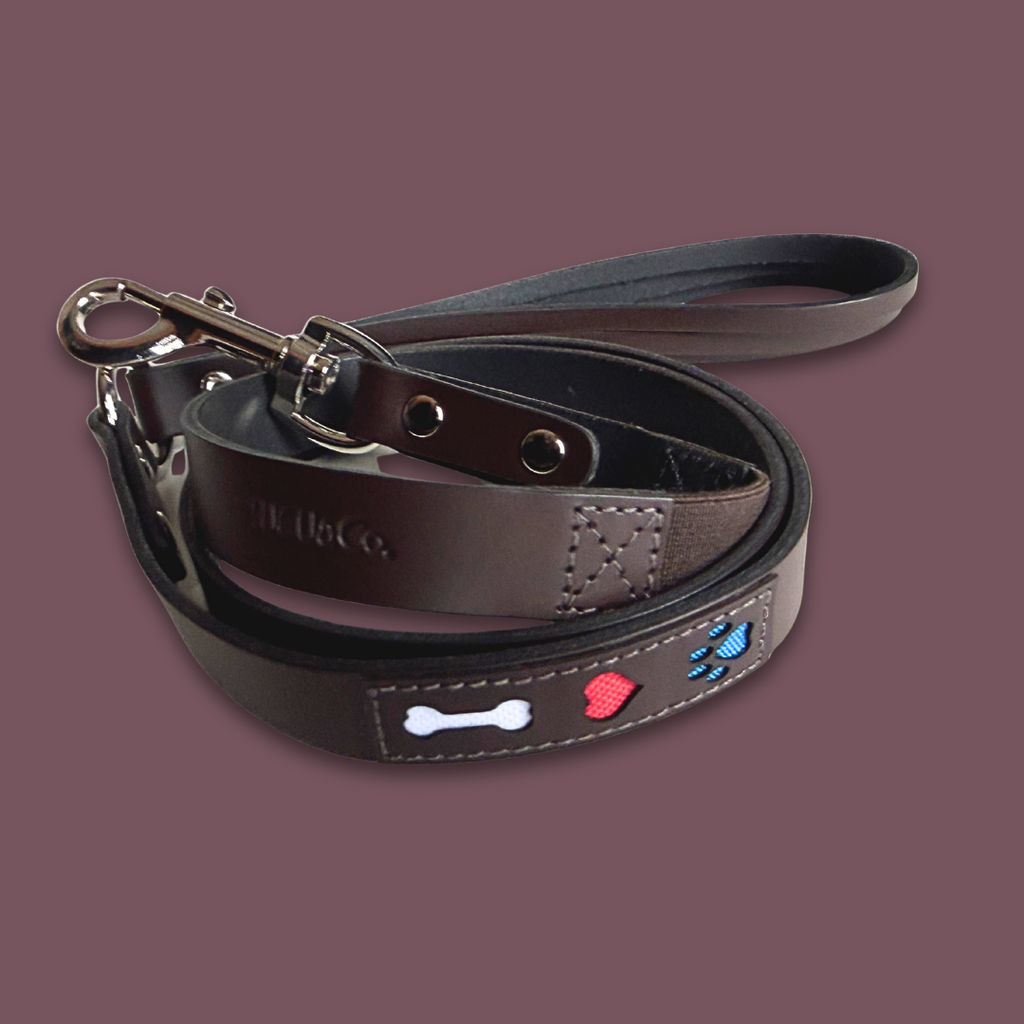 Leather Leash