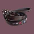 Leather Leash