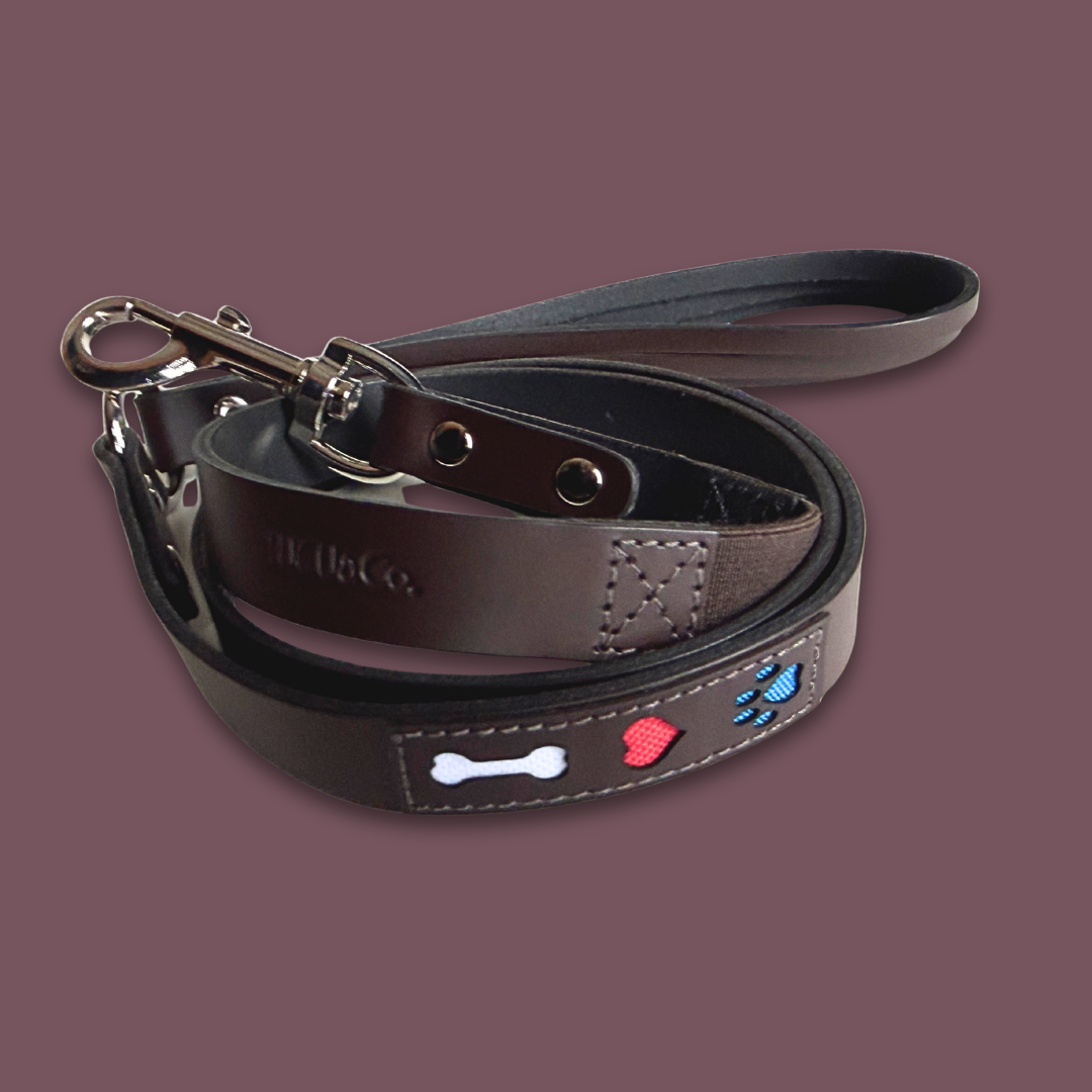Leather Leash