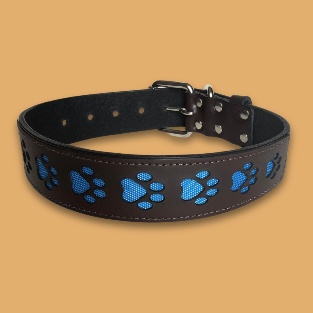 Paw Print Leather Collar
