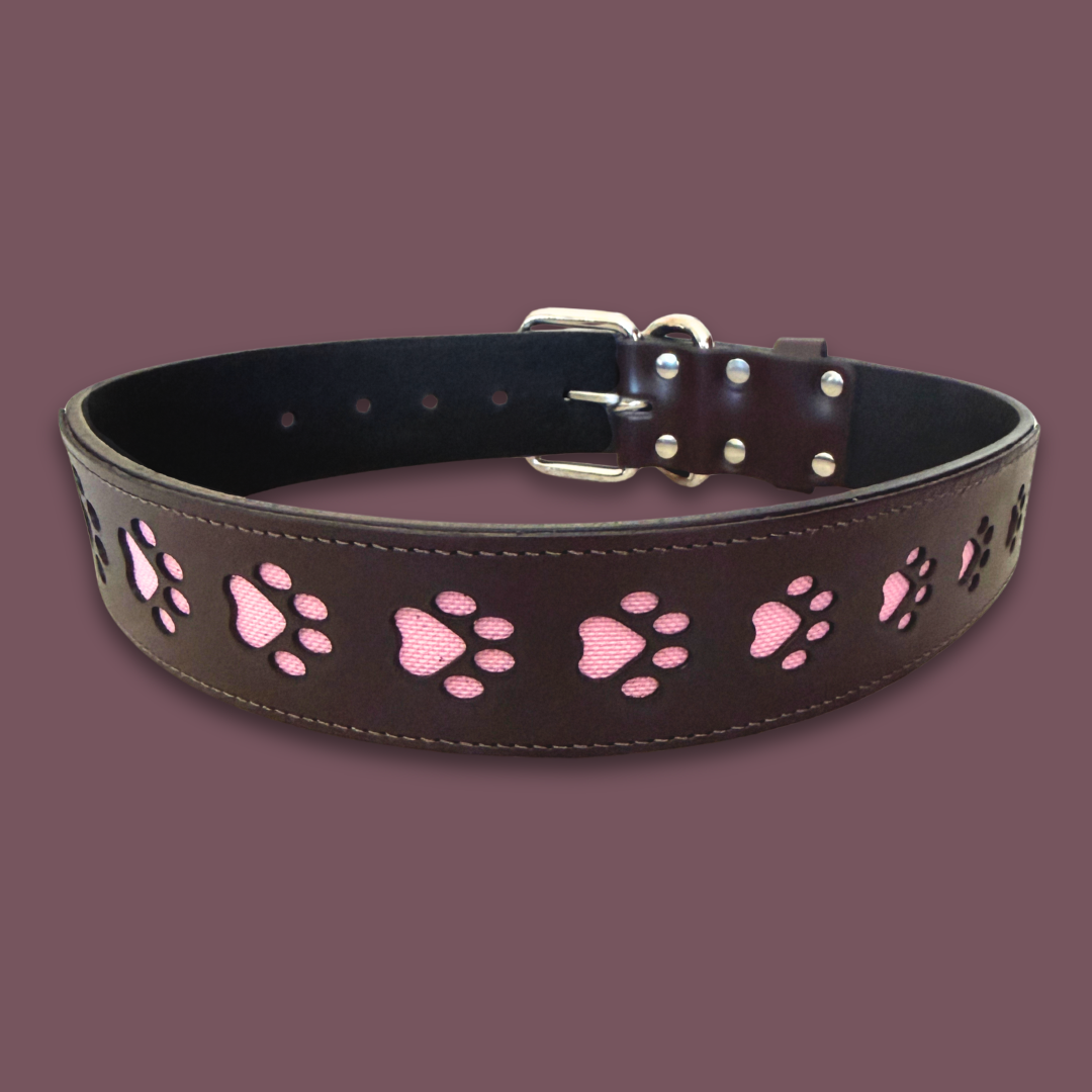 Paw Print Leather Collar