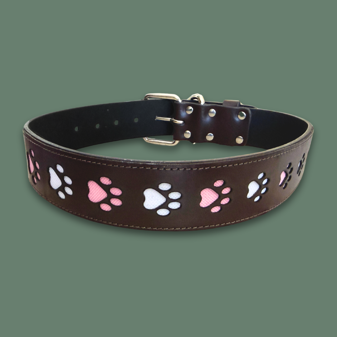 Paw Print Leather Collar