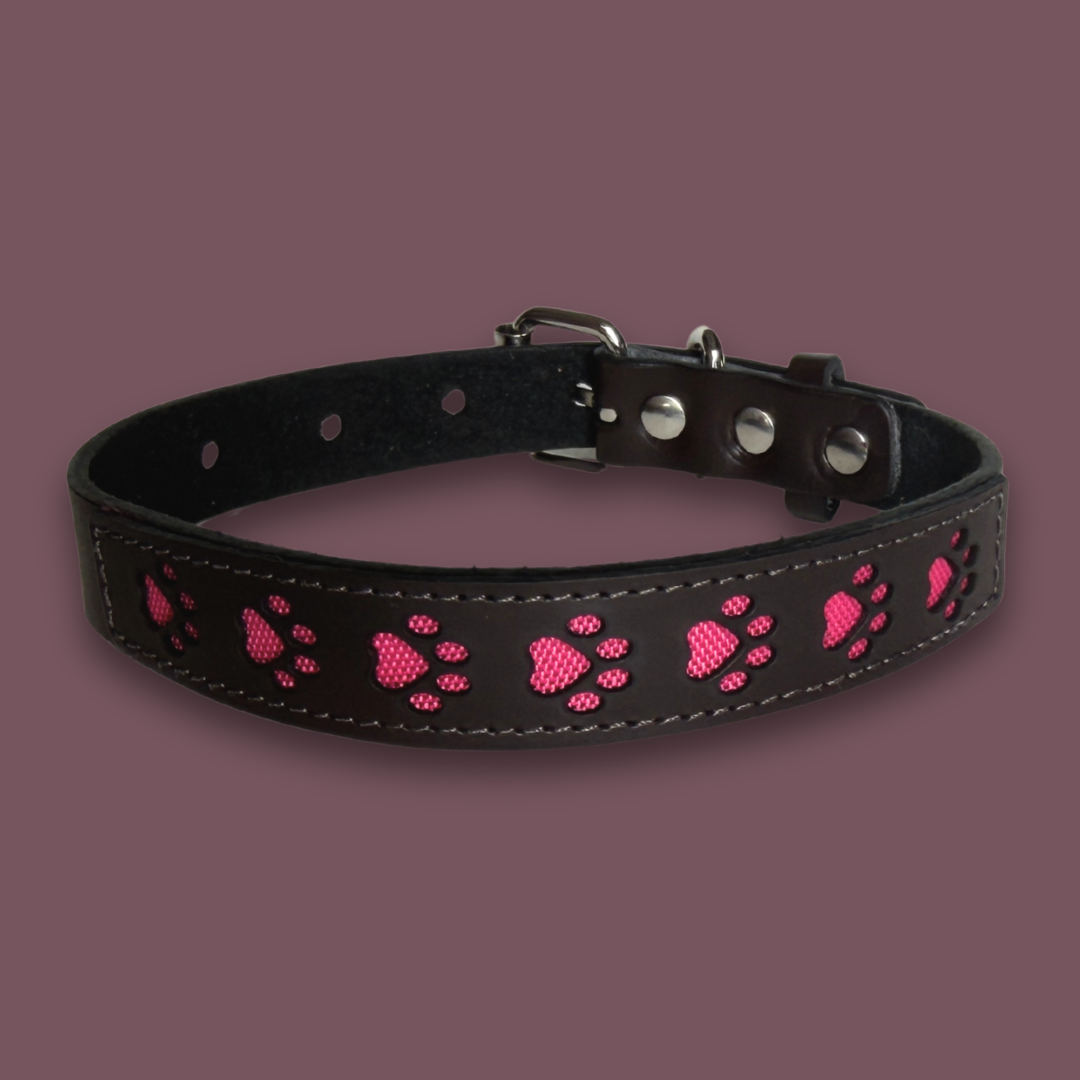Paw Print Leather Collar